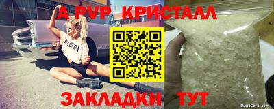spice Аргун