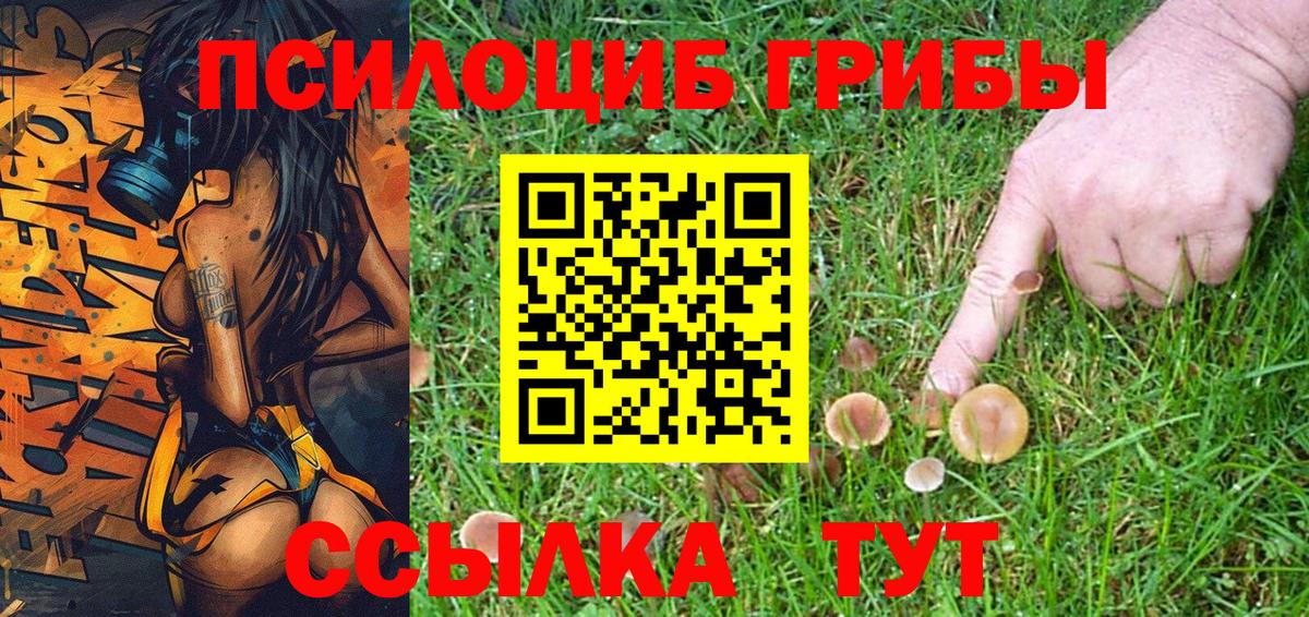 Галлюциногенные грибы Psilocybine cubensis Владикавказ